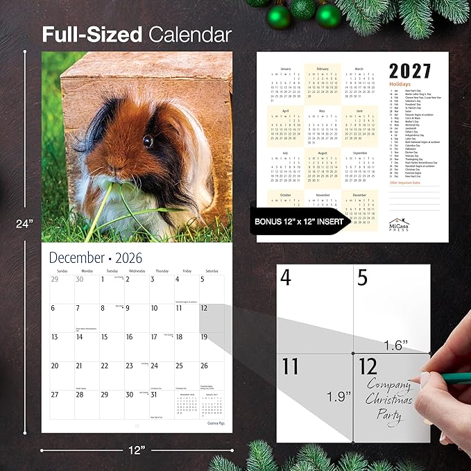 MICASA PRESS Guinea Pigs 2026 Wall Calendar 12 Month | 12” x 24” Open | Thick & Sturdy Paper | Giftable | Cute Funny Animal Kids Calendar 2026