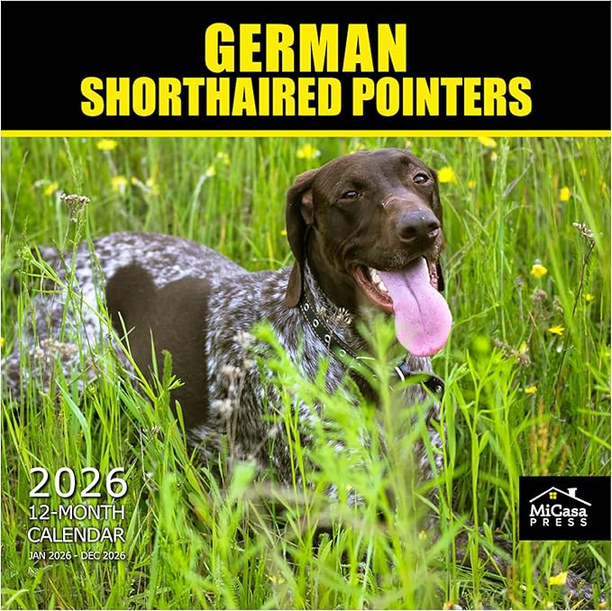MICASA PRESS German Shorthaired Pointers 2026 Wall Calendar 12 Month | 12" x 24" Open | Thick & Sturdy Paper | Giftable | Cute GSP Puppy Dog Calendar 2026