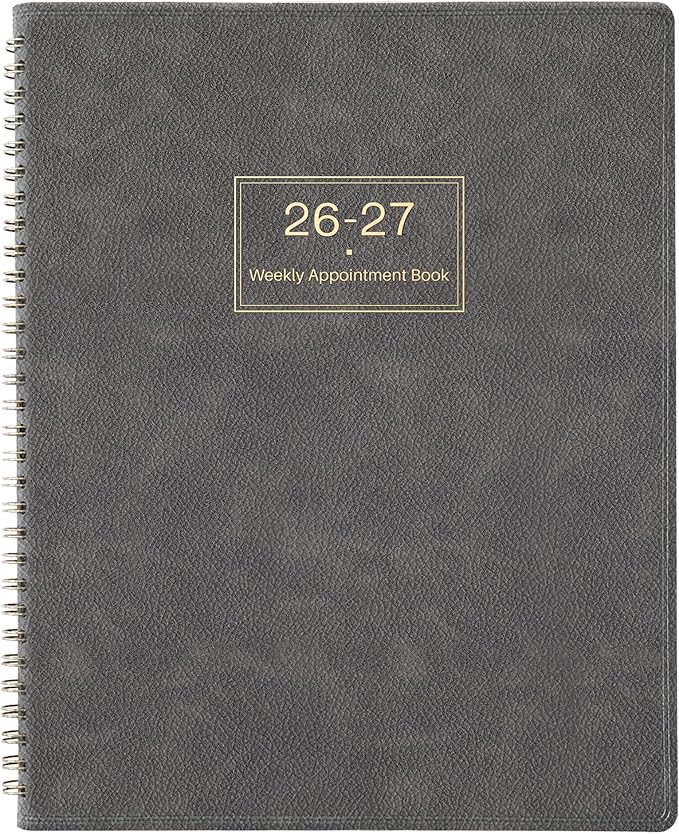 Appointment Book 2026-2027 - Weekly Appointment Planner, Jul 2026 - Jun 2027, Hourly Daily Planner 26-27, 9" x 11", Planners 2026-2027 with 15-Minute Interval, Colorful Tabs, Pocket, Notes, Leather Cover - Grey