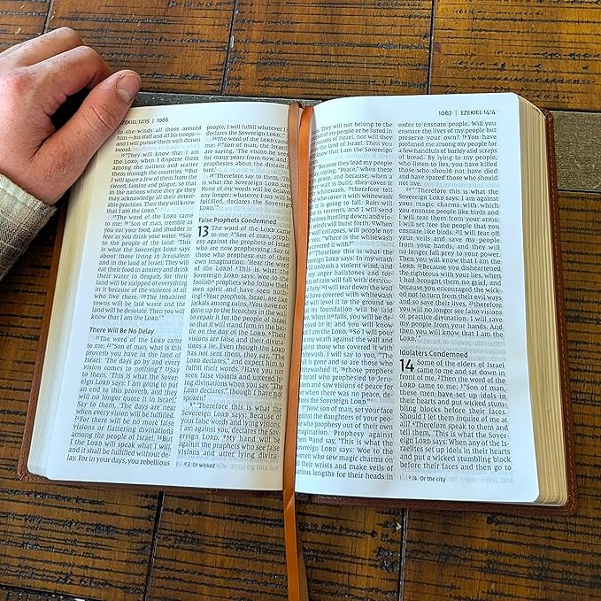 Farm and Posh Personalized NIV Personal Bible with Crown of Thorns | Large Print (Brown)