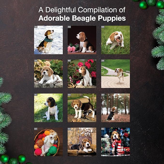 MICASA PRESS Beagle Puppies 2026 Wall Calendar 12 Month | 12" x 24" Open | Thick & Sturdy Paper | Giftable | Cute Puppy Dog Calendar 2026