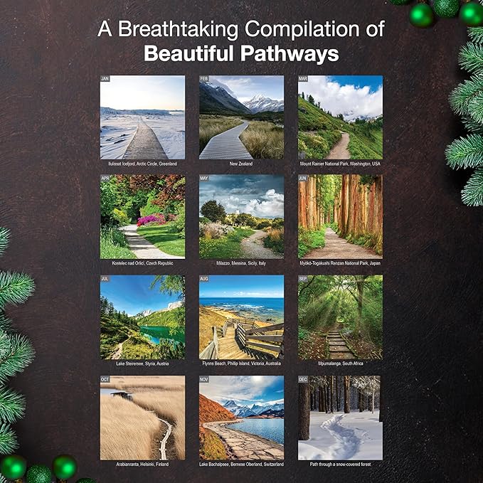MICASA PRESS Wild & Beautiful Pathways 2026 Wall Calendar 12 Month | 12" x 24" Open | Thick & Sturdy Paper | Giftable | Scenic Nature Calendar 2026