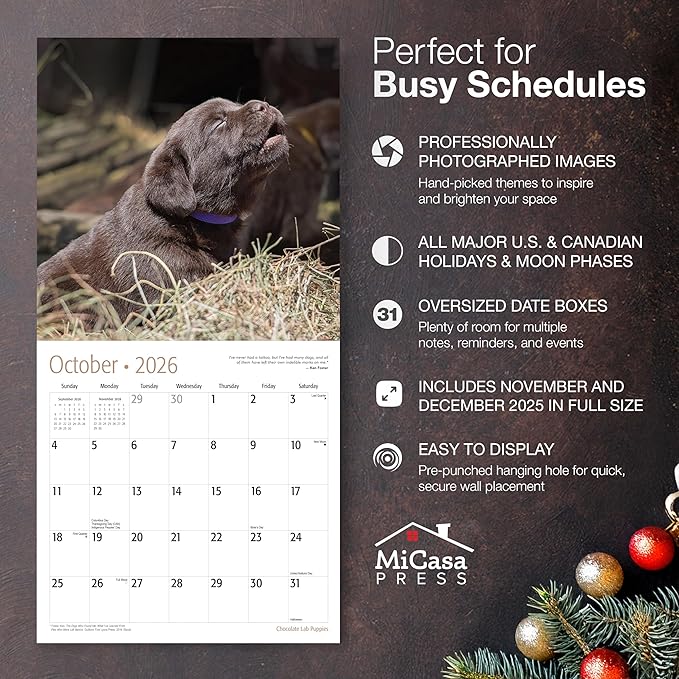 MICASA PRESS Chocolate Lab Puppies 2026 Wall Calendar 12 Month | 12" x 24" Open | Thick & Sturdy Paper | Giftable | Cute Labrador Retriever Puppy Dog Calendar 2026