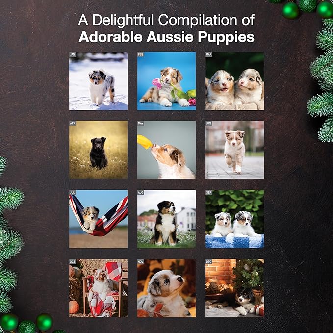 MICASA PRESS Aussie Puppies Australian Shepherds 2026 Wall Calendar 12 Month | 12" x 24" Open | Thick & Sturdy Paper | Giftable | Cute Puppy Dog Calendar 2026