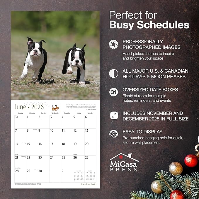 MICASA PRESS Boston Terrier Puppies 2026 Wall Calendar 12 Month | 12" x 24" Open | Thick & Sturdy Paper | Giftable | Cute Puppy Dog Calendar 2026