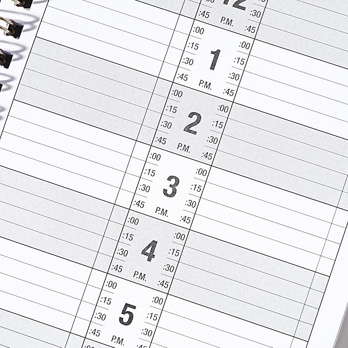 Appointment Book – Undated Salon Appointment Book, 2 Column, 11.5" x 4.7", Daily/HourlyPlanner with 200 Pages, 6 AM - 9 PM, 15 Minute Intervals Day Planner, Twin-Wire Binding, Hardcover - Gray