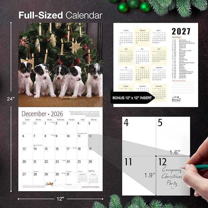 MICASA PRESS Jack Russell Terrier Puppies 2026 Wall Calendar 12 Month | 12" x 24" Open | Thick & Sturdy Paper | Giftable | Cute Puppy Dog Calendar 2026