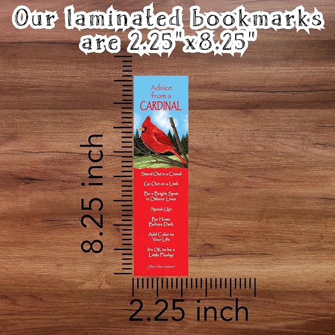 Advice 3 Bookmark Birds of Prey Set, Laminated with Glossy Finish, Printed on Recycled Paper, Owl, Hawk, Golden Eagle (AMBM-BIRDPRY)