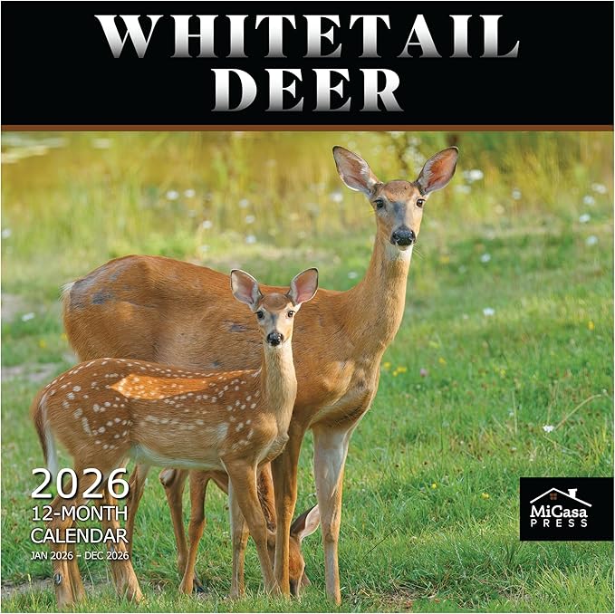MICASA PRESS Whitetail Deer 2026 Wall Calendar 12 Month | 12” x 24” Open | Thick & Sturdy Paper | Giftable | Hunting Animal Calendar 2026
