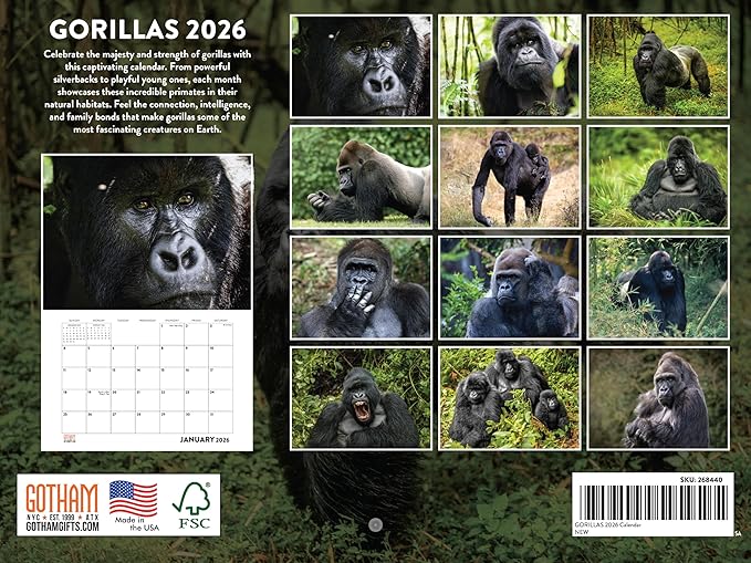 Gorilla Calendar 2026 Monthly Wall Calender 12 Month | American Made In The USA
