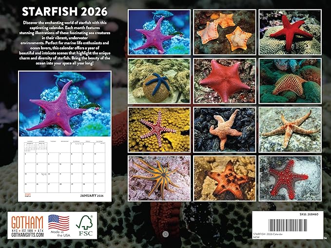 Starfish Calendar 2026 Monthly Wall Calender Gifts 12 Month | American Made In The USA