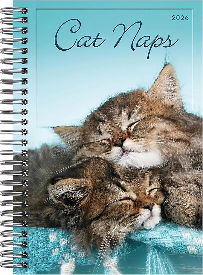 Cat Naps 2026 Weekly & Monthly Planner, 12-Month Engagement Calendar: 2026