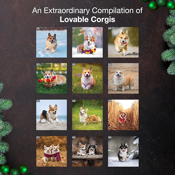 MICASA PRESS Corgis 2026 Wall Calendar 12 Month | 12" x 24" Open | Thick & Sturdy Paper | Giftable | Cute Puppy Dog Calendar 2026