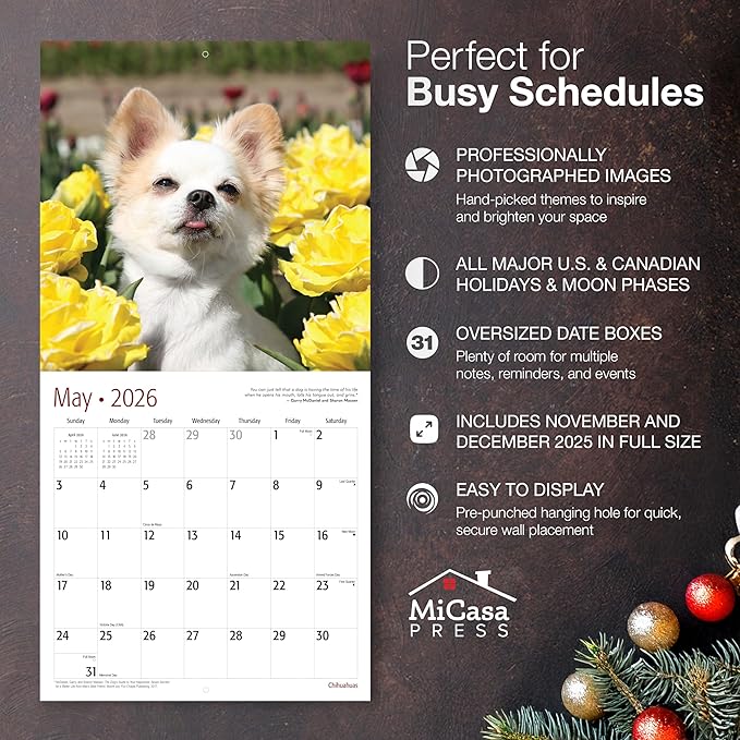 MICASA PRESS Chihuahuas 2026 Wall Calendar 12 Month | 12" x 24" Open | Thick & Sturdy Paper | Giftable | Cute Puppy Dog Calendar 2026