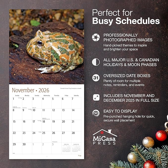 MICASA PRESS Frogs 2026 Wall Calendar 12 Month | 12” x 24” Open | Thick & Sturdy Paper | Giftable | Cute Animal Calendar 2026
