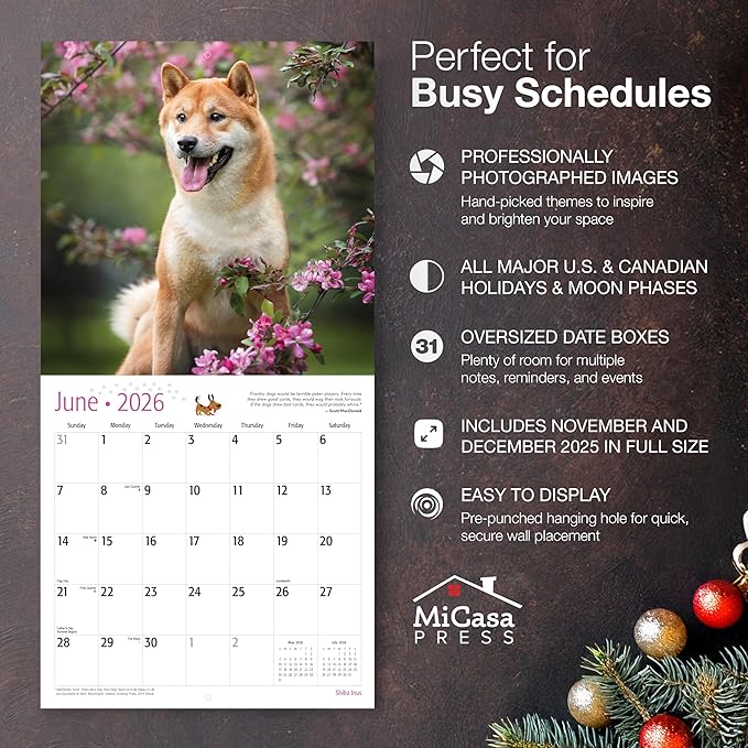 MICASA PRESS Shiba Inus 2026 Wall Calendar 12 Month | 12" x 24" Open | Thick & Sturdy Paper | Giftable | Cute Puppy Dog Calendar 2026