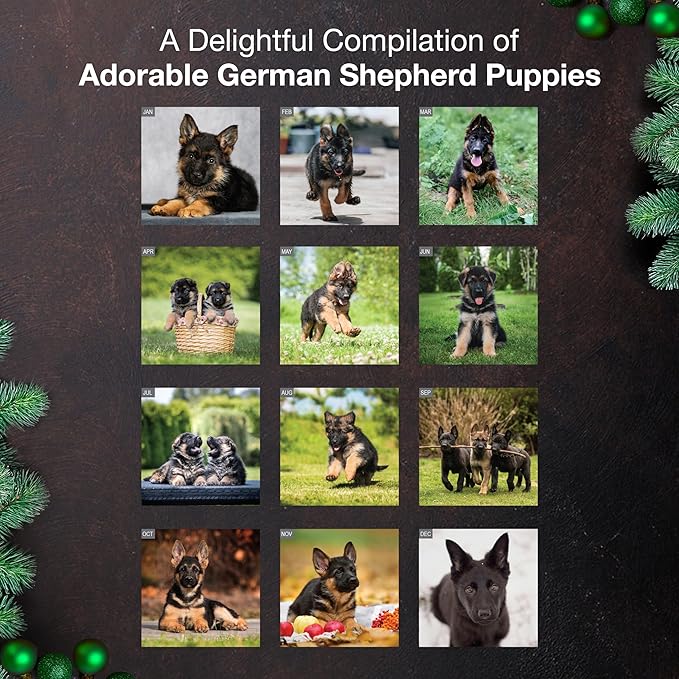 MICASA PRESS German Shepherd Puppies 2026 Wall Calendar 12 Month | 12" x 24" Open | Thick & Sturdy Paper | Giftable | Cute Puppy Dog Calendar 2026