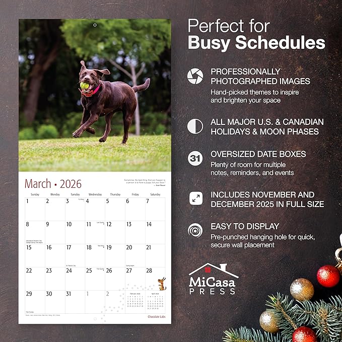 MICASA PRESS Chocolate Labs 2026 Wall Calendar 12 Month | 12" x 24" Open | Thick & Sturdy Paper | Giftable | Cute Labrador Retriever Puppy Dog Calendar 2026