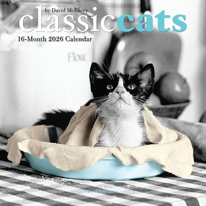 Graphique 2026 Classic Cats Mini Wall Calendar | 7” x 7” | Thick Paper | Home & Office Organizer | Large Monthly Grid | 3 Languages & Marked Holidays | 4 Month Preview Page for 2027