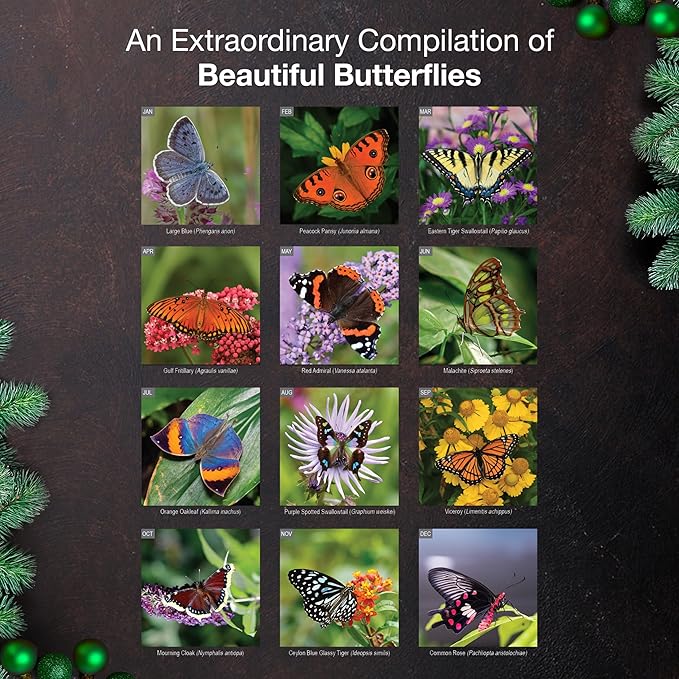 MICASA PRESS Butterflies 2026 Wall Calendar 12 Month | 12" x 24" Open | Thick & Sturdy Paper | Giftable | Animal Calendar 2026