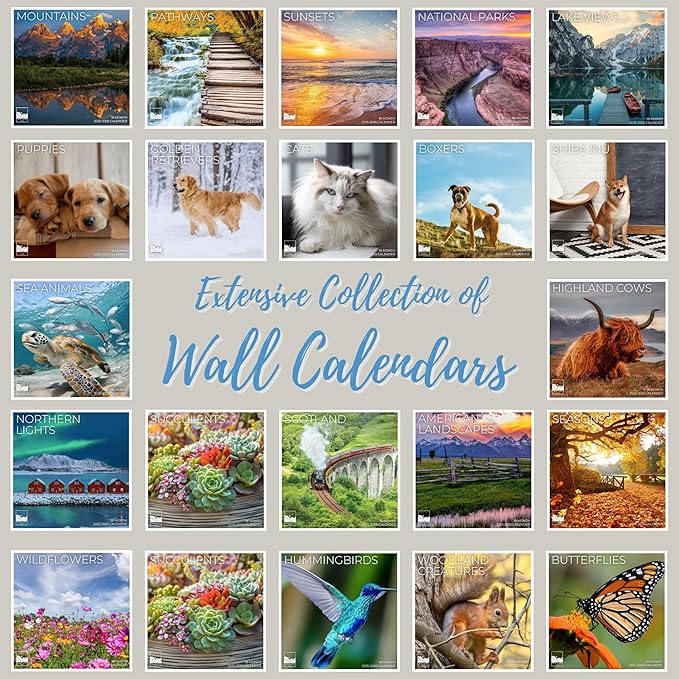 2026 Chocolate Labrador Puppies Wall Calendar | 12" x 24" Open | Dog Photography Thick & Sturdy Paper for Organizing & Planning | Office Kitchen Decor or Gift | Pacific Waters Press (Chocolate Lab Puppies)