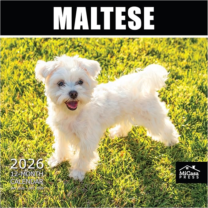MICASA PRESS Maltese 2026 Wall Calendar 12 Month | 12" x 24" Open | Thick & Sturdy Paper | Giftable | Cute Puppy Dog Calendar 2026