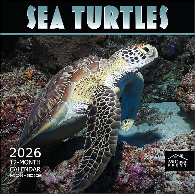 MICASA PRESS Sea Turtles 2026 Wall Calendar 12 Month | 12" x 24" Open | Thick & Sturdy Paper | Giftable | Animal Calendar 2026