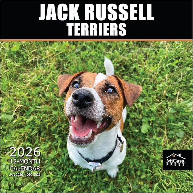 MICASA PRESS Jack Russell Terriers 2026 Wall Calendar 12 Month | 12" x 24" Open | Thick & Sturdy Paper | Giftable | Cute Puppy Dog Calendar 2026