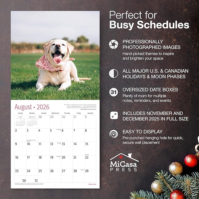 MICASA PRESS Yellow Labs 2026 Wall Calendar 12 Month | 12" x 24" Open | Thick & Sturdy Paper | Giftable | Cute Labrador Retriever Puppy Dog Calendar 2026
