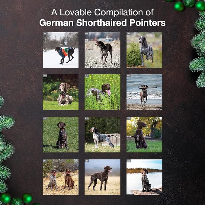 MICASA PRESS German Shorthaired Pointers 2026 Wall Calendar 12 Month | 12" x 24" Open | Thick & Sturdy Paper | Giftable | Cute GSP Puppy Dog Calendar 2026