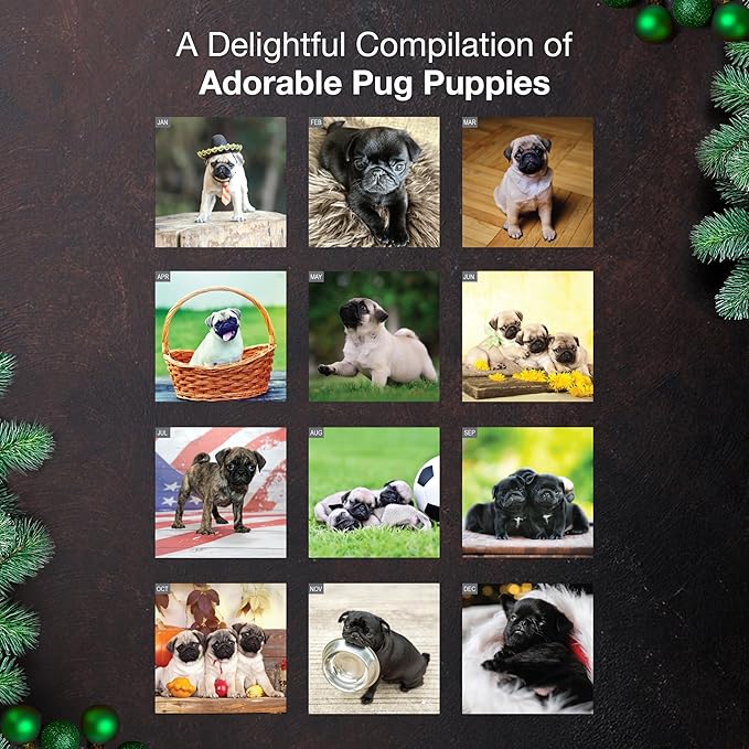 MICASA PRESS Pug Puppies 2026 Wall Calendar 12 Month | 12" x 24" Open | Thick & Sturdy Paper | Giftable | Cute Puppy Dog Calendar 2026