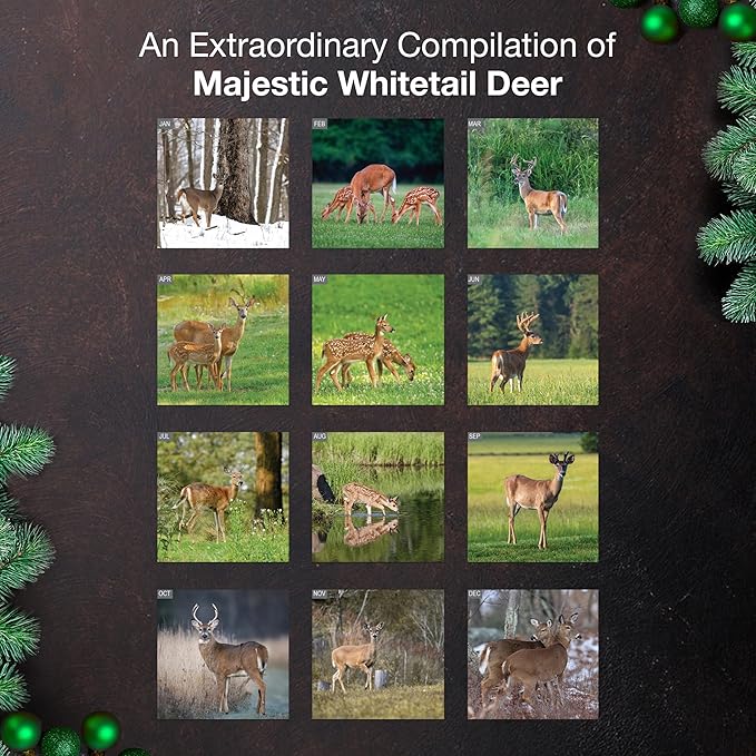 MICASA PRESS Whitetail Deer 2026 Wall Calendar 12 Month | 12” x 24” Open | Thick & Sturdy Paper | Giftable | Hunting Animal Calendar 2026