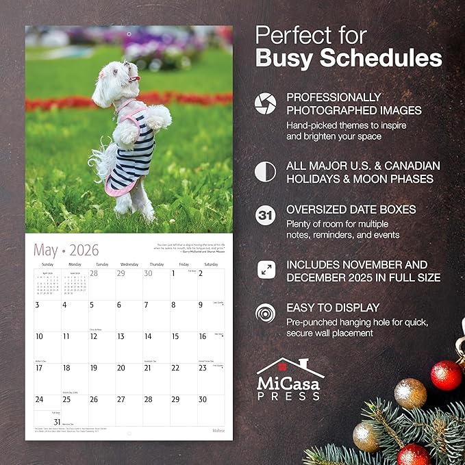 MICASA PRESS Maltese 2026 Wall Calendar 12 Month | 12" x 24" Open | Thick & Sturdy Paper | Giftable | Cute Puppy Dog Calendar 2026