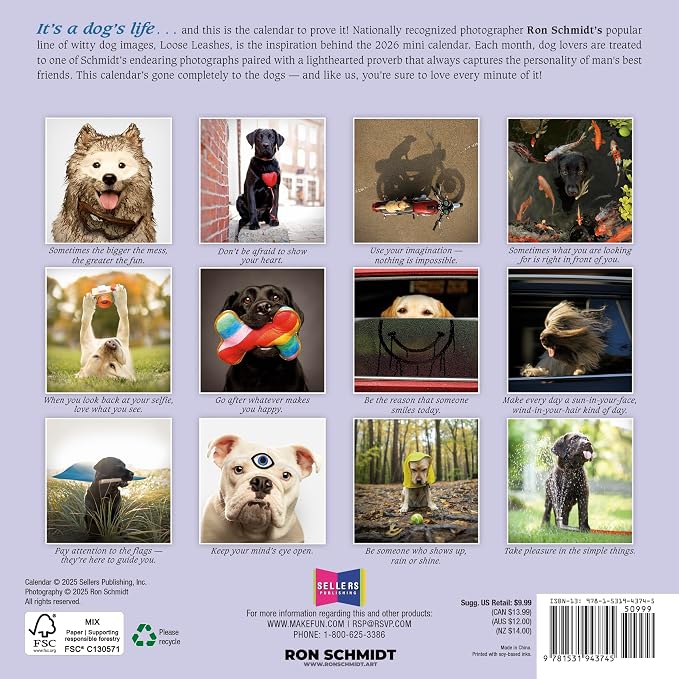 Dogma 2026 Mini Wall Calendar, Funny Dog Photography: A Dog’s Guide to Life, 7" x 7"