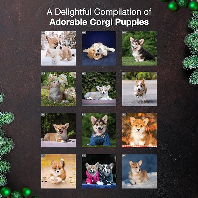 MICASA PRESS Corgi Puppies 2026 Wall Calendar 12 Month | 12" x 24" Open | Thick & Sturdy Paper | Giftable | Cute Puppy Dog Calendar 2026
