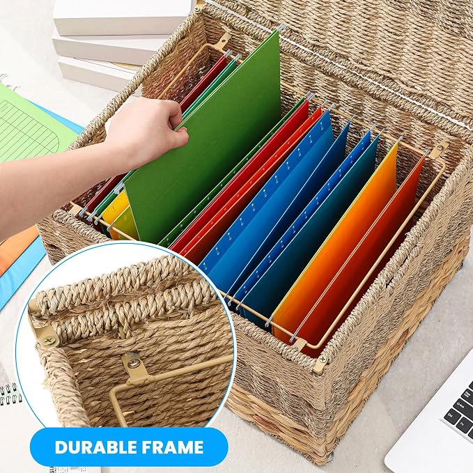 Cinnvoice Extra Large Decorative File Box 18 x 16 x 13 in Wicker Seagrass File Basket Organizer for Letter Legal Size Hand Woven Hanging Filing Cabinet with Lid for Office Water Hyacinth, Tricolor