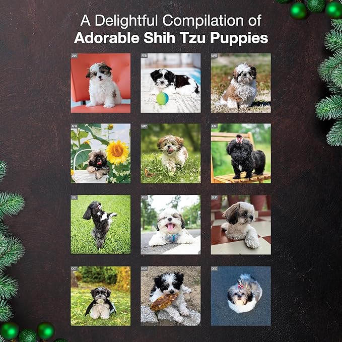MICASA PRESS Shih Tzu Puppies 2026 Mini Wall Calendar 12 Month | 7" x 14" Open | Thick & Sturdy Paper | Giftable | Cute Puppy Dog Calendar 2026