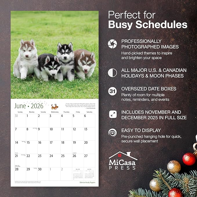 MICASA PRESS Siberian Husky Puppies 2026 Wall Calendar 12 Month | 12" x 24" Open | Thick & Sturdy Paper | Giftable | Cute Puppy Dog Calendar 2026