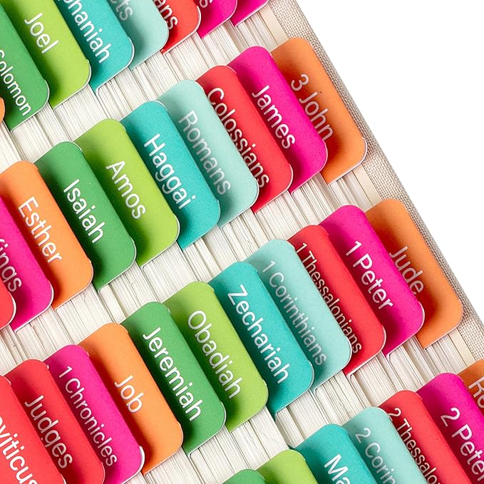 Mr. Pen- Bible Tabs, 75 Neon Laminated for Women and Men, Study Index, Bible Tabs for Study Bible, Bible Book Tabs, Bible Labels Tabs, Bible Tabs