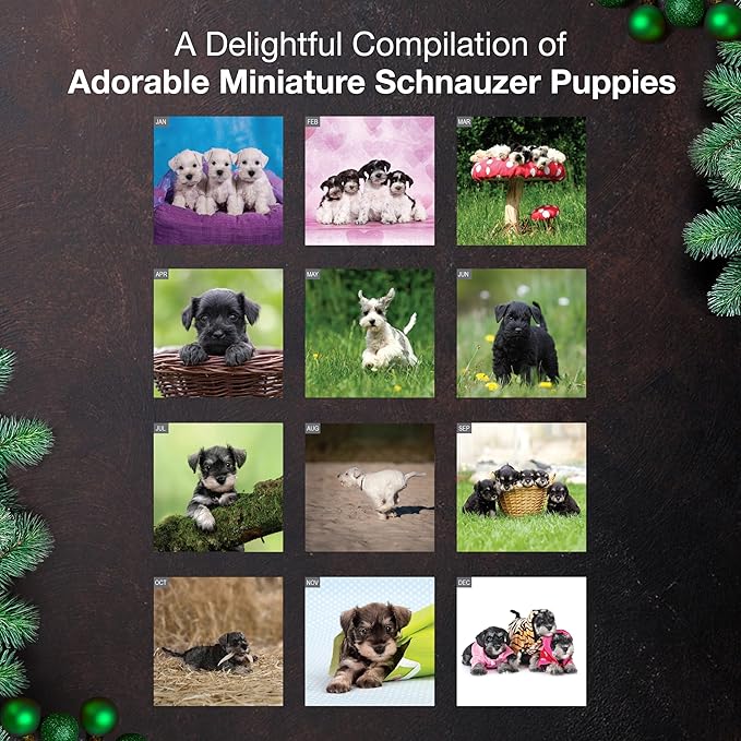MICASA PRESS Miniature Schnauzer Puppies 2026 Wall Calendar 12 Month | 12" x 24" Open | Thick & Sturdy Paper | Giftable | Cute Puppy Dog Calendar 2026
