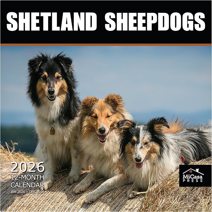 MICASA PRESS Shetland Sheepdogs 2026 Hangable Monthly Wall Calendar | 12" x 24" Open | Thick & Sturdy Paper | Giftable | Cute Sheltie Puppy Dog Calendar 2026