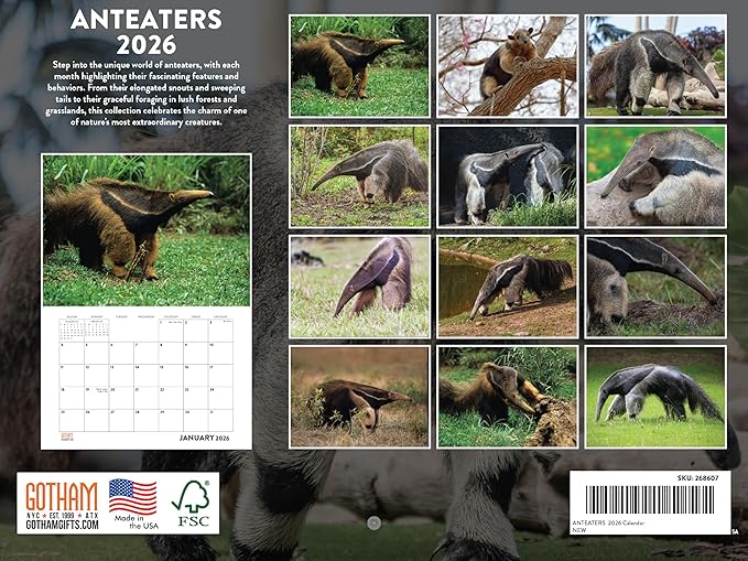 Anteater Calendar 2026 Antbear Monthly Wall Calender 12 Month | American Made In The USA