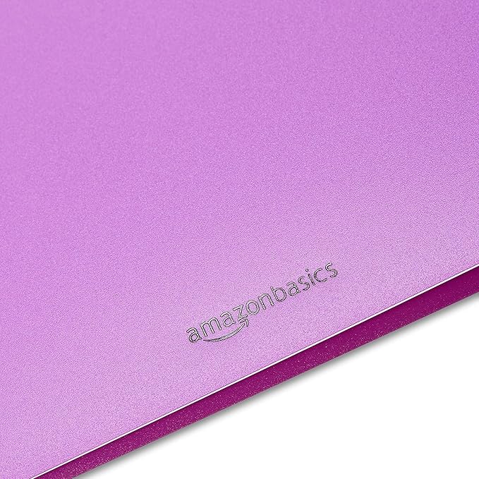 Amazon Basics Plastic 3 Hole Punch Folders with 2 Pockets for Documents, Letter Size 8.5 x 11 inches, School Supplies, Assorted Colors, Pack of 12