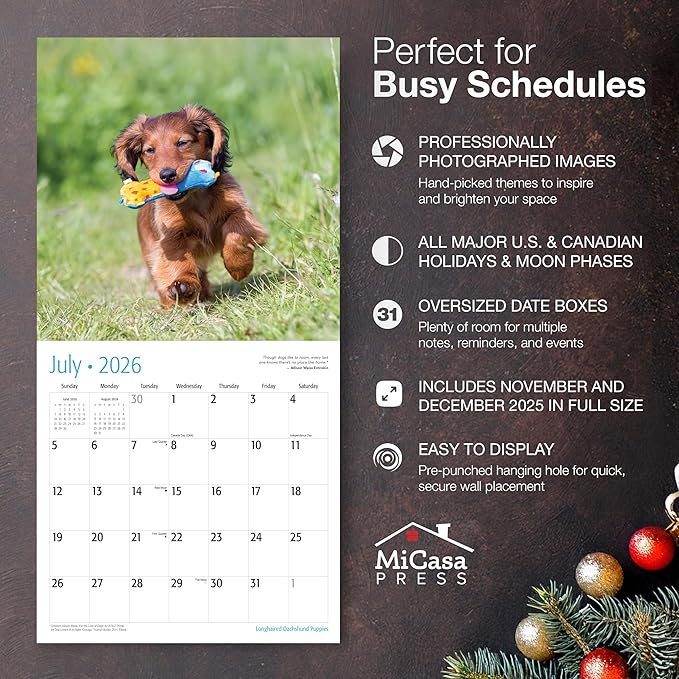 MICASA PRESS Longhaired Dachshund Puppies 2026 Wall Calendar 12 Month | 12" x 24" Open | Thick & Sturdy Paper | Giftable | Cute Weiner Puppy Dog Calendar 2026