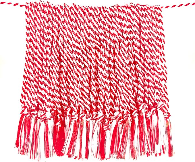 Tassel Depot 100 Floss Bookmark Tassels - Red/White Combo