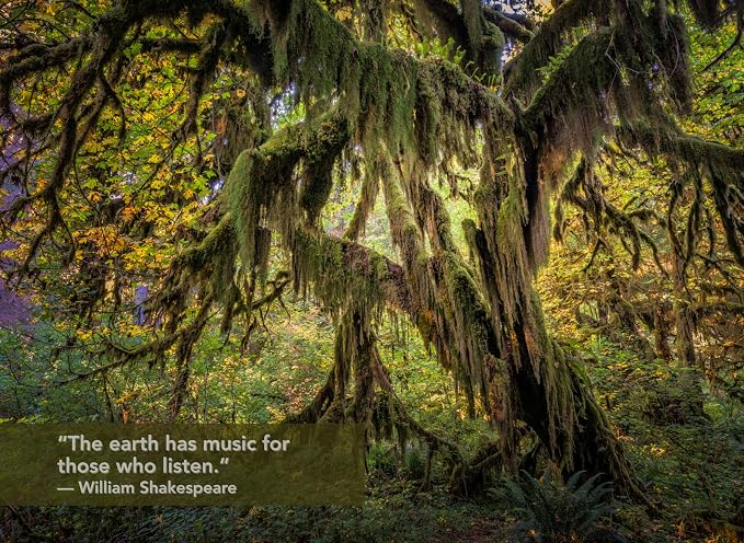 National Parks Inspirational Quotes Calendar 2027 Nature Monthly Wall Calender 12 Month