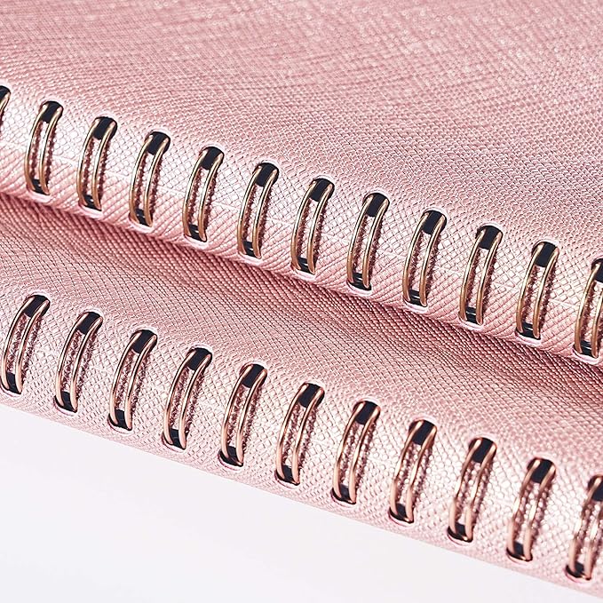 2026-2027 Appointment Book/Planner - Appointment Planner 2026-2027, July 2026 - June 2027, 11" x 9", 26-27 Daily Hourly Planner with 15-Minute Interval, Colorful Tabs - Rose Gold