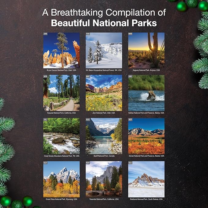 MICASA PRESS Wild & Beautiful National Parks 2026 Wall Calendar 12 Month | 12" x 24" Open | Thick & Sturdy Paper | Giftable | Nature Calendar 2026