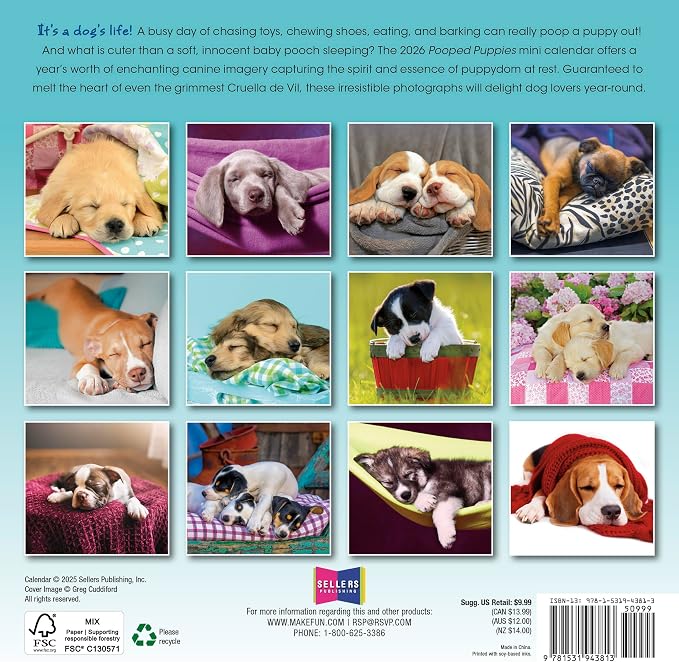 Pooped Puppies 2026 Mini Wall Calendar, Cute & Funny Dog Photography, 7" x 7"