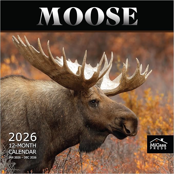 MICASA PRESS Moose 2026 Wall Calendar 12 Month | 12” x 24” Open | Thick & Sturdy Paper | Holiday Gift | Animal Calendar 2026